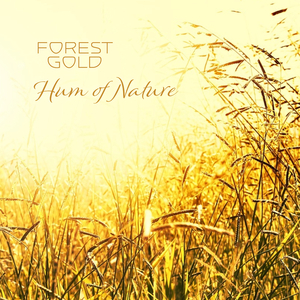 蜘蛛精在线观看免费版动漫
