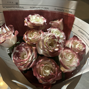 蜘蛛精在线观看免费版动漫
